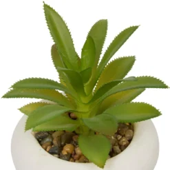 PLANTE GRASSE CIMENT STEFI H.15CM