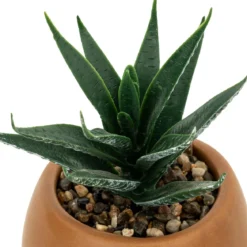 PLANTE GRASSE LIVY POT CERAMIQUE H.17CM