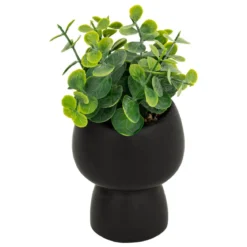 PLANTE GRASSE LIVY POT CERAMIQUE H.17CM