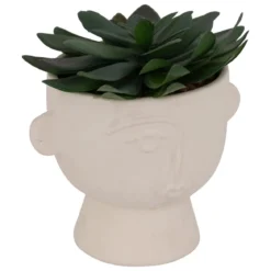PLANTE GRASSE POT CIMENT DUSTY H.22CM