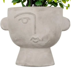PLANTE GRASSE POT CIMENT DUSTY H.22CM