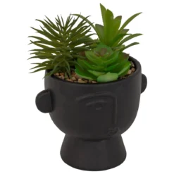 PLANTE GRASSE POT CIMENT DUSTY H.22CM