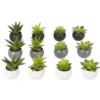 PLANTE GRASSE POT H.13CM