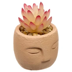 PLANTE GRASSE VISAGE TERI H.13CM