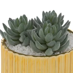 PLANTE LE COLLECTIONNEUR CERAMIQUE DORE H.12CM