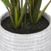 PLANTE LYS DE LA PAIX POT CIMENT H.54CM