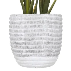 PLANTE LYS DE LA PAIX POT CIMENT H.54CM