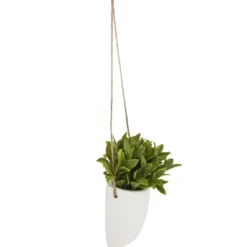 PLANTE MURALE A SUSPENDRE CERAMIQUE H.20CM