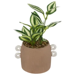 PLANTE POT CERAMIQUE OLME CANNELLE H.21CM