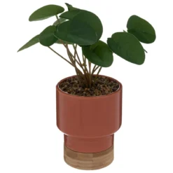 PLANTE POT CERAMIQUE PECHE H.26CM