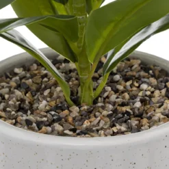 PLANTE POT CERAMIQUE REACTIVE H.30CM