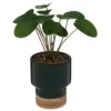 PLANTE POT CERAMIQUE VERT H.26CM