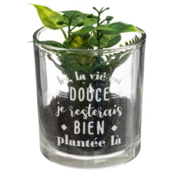 PLANTE POT MESSAGE D.7X8CM