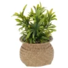 PLANTE POT NATUREL JIL H.20CM