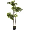 PLANTE SCHEFFLERA H.130CM