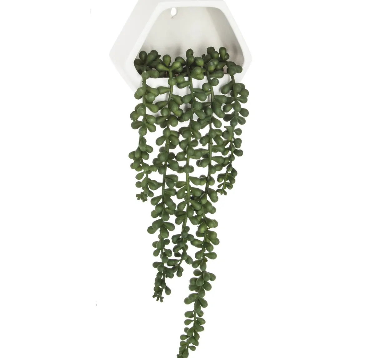 PLANTE TOMBANTE MURALE POT CERAMIQUE CONTEMPORAINE