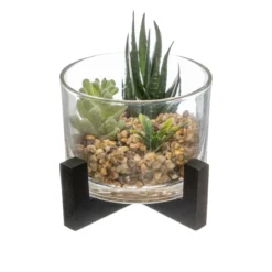 PLANTE VERRE BOIS D.13X12CM