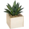 PLANTE VERTE BOIS CHIC H.14CM
