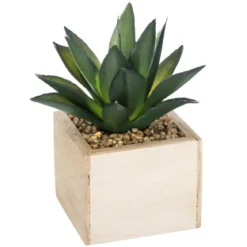 PLANTE VERTE BOIS CHIC H.14CM