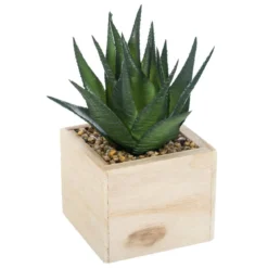 PLANTE VERTE BOIS CHIC H.14CM