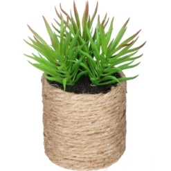 PLANTE VERTE CORDE ETHNIQUE H.16CM
