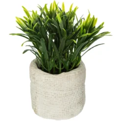 PLANTE VERTE SAC CIMENT VENT H.14CM