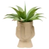 PLANTE VISAGE AGAVE SIEN H.48CM