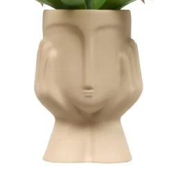 PLANTE VISAGE AGAVE SIEN H.48CM