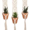 PLANTE X3 SUSPENSIONS TERRACOTTA HACIENDA H.75CM