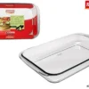 PLAT RECTANGLE VERRE 4.1L