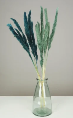 PLUMEAU PAMPA NATUREL H.90CM BLEU ET VERT X6 PIECES