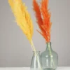 PLUMEAU PAMPA NATUREL H.110CM JAUNE ET ORANGE X3 PIECES