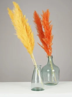 PLUMEAU PAMPA NATUREL H.110CM JAUNE ET ORANGE X3 PIECES