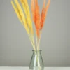 PLUMEAU PAMPA NATUREL H.90CM JAUNE ET ORANGE X6 PIECES