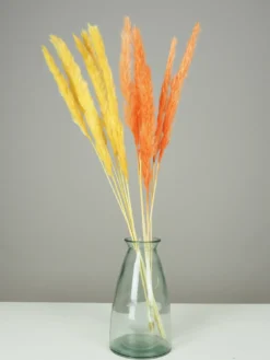 PLUMEAU PAMPA NATUREL H.90CM JAUNE ET ORANGE X6 PIECES