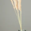PLUMEAU PAMPA NATUREL H.90CM ROSE X6 PIECES