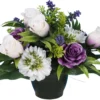 POT BOUTON ROSE ZINNIA LAVANDE