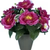 POT CAMELIAS