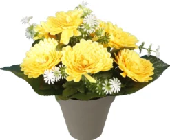 POT CHRYSANTHEMES H22CM