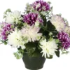 POT CHRYSANTHEMES POMPONETTES