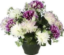 POT CHRYSANTHEMES POMPONETTES
