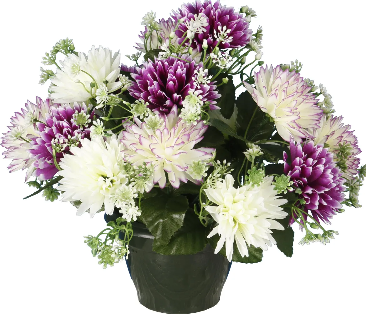 POT CHRYSANTHEMES POMPONETTES