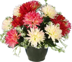 POT CHRYSANTHEMES POMPONETTES