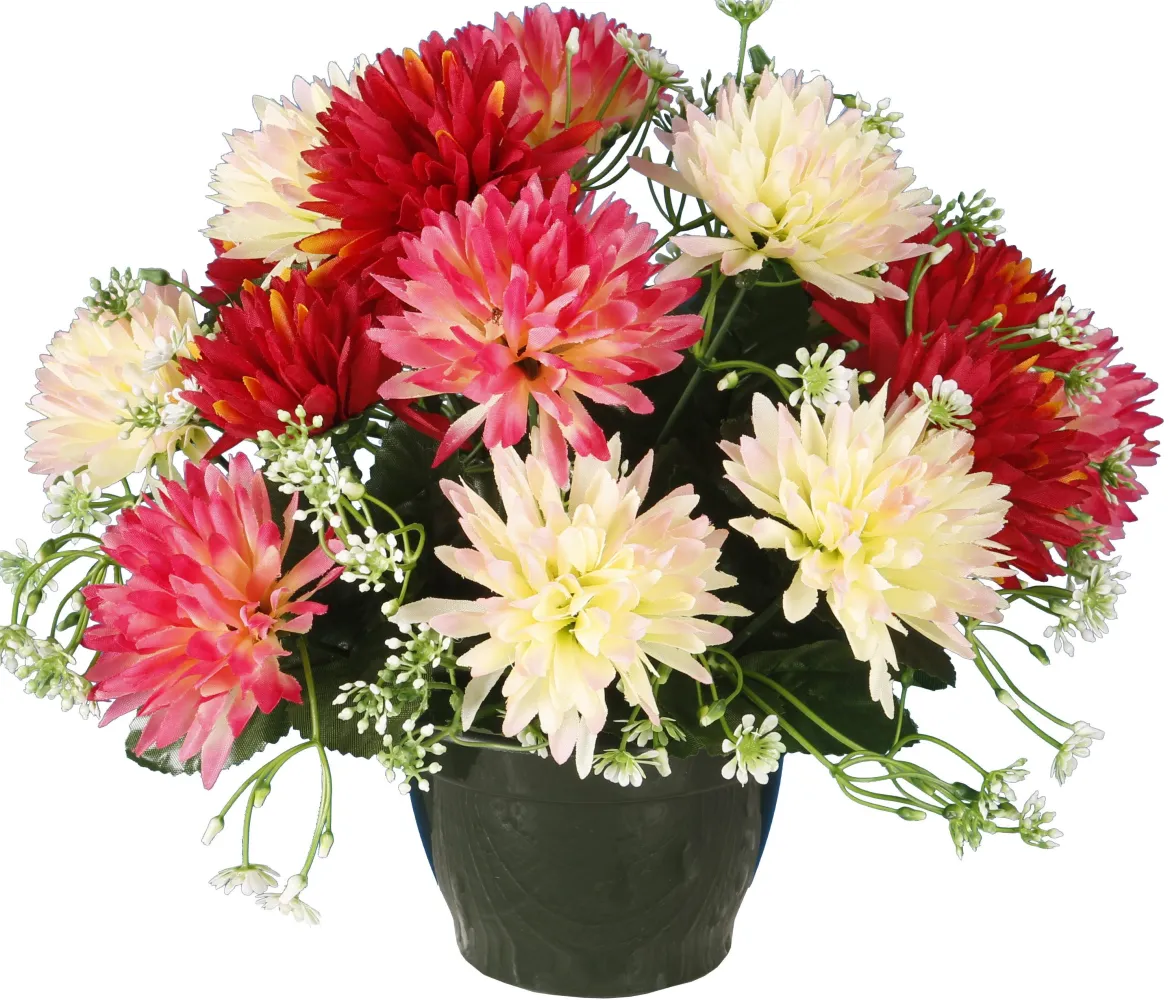 POT CHRYSANTHEMES POMPONETTES