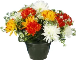 POT CHRYSANTHEMES POMPONETTES