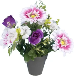 POT GERBERAS BOUTONS
