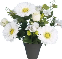 POT GERBERAS BOUTONS