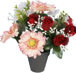 POT GERBERAS BOUTONS