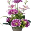 POT GERBERAS DELPHINIUMS