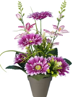 POT GERBERAS DELPHINIUMS